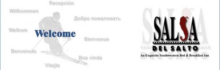 Salsa del Salto website screenshot